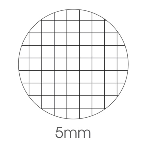 Maxiquaderno Vibes fantasia Quadri 5mm A4 - 40+2 fogli - 80gr